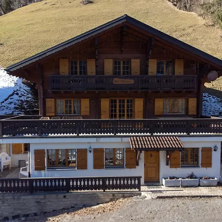 Les Patineurs Chalé *